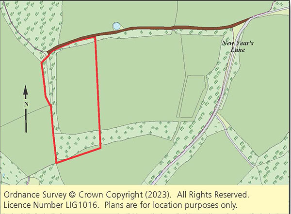 Lot: 65 - GRAZING LAND AND PART WOODLAND EXTENDING TO 5.5 ACRES -
